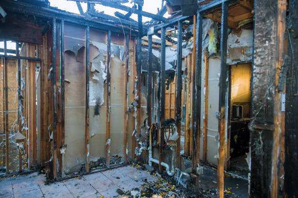 Professional Fire Damage Removal technician working in Yorktown, TX